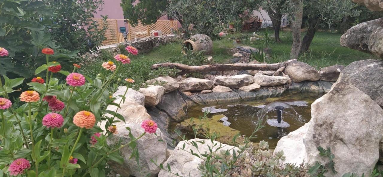 Bed and Breakfast Albero Della Musica Сассарі Екстер'єр фото