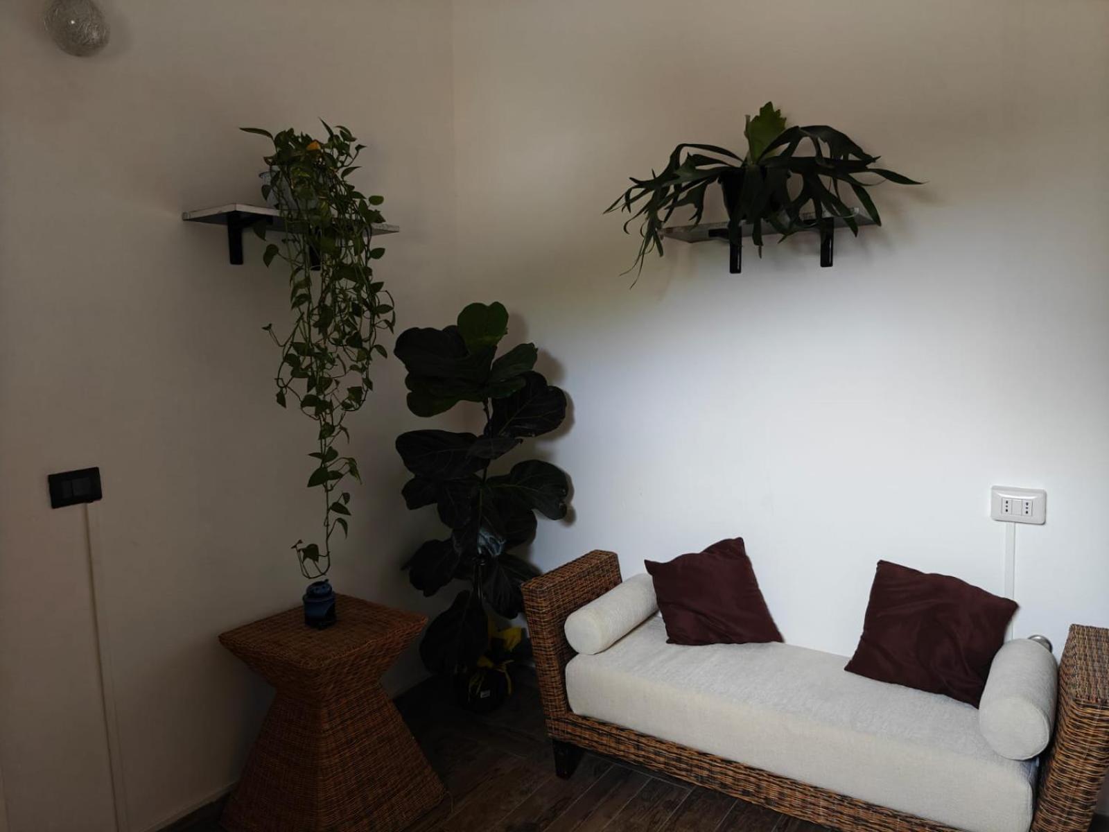 Bed and Breakfast Albero Della Musica Сассарі Екстер'єр фото